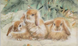 虎兔漫画,生肖传奇，生肖间的奇幻冒险之旅