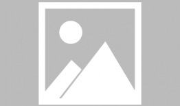 肉肉动漫,治愈系萌宠的奇幻冒险之旅